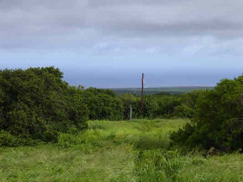 94-6930 Kamaoa Rd, Naalehu, HI, 96772 | Card Image