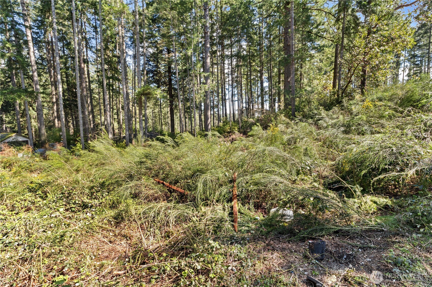 Land in Lakebay 4