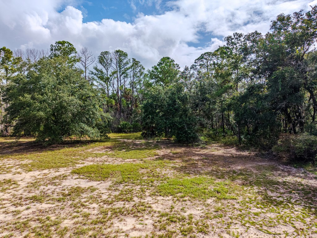 Residential in Steinhatchee 3
