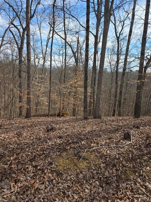 Lot 937 Stoneway Court, Baneberry, TN, 37890 | Card Image