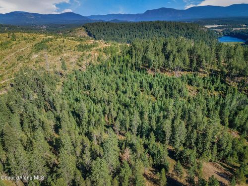 1 Smokewood Dr, Athol, ID, 83801 | Card Image