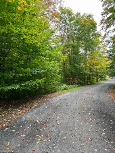 Lot 16 Black Bear Trail, Home with 0 bedrooms, 0 bathrooms and null parking in Davis WV | Image 3