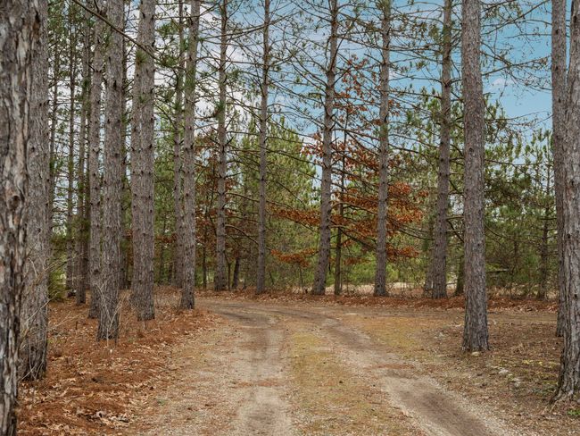 28-web-or-mls-A7405980 | Image 37