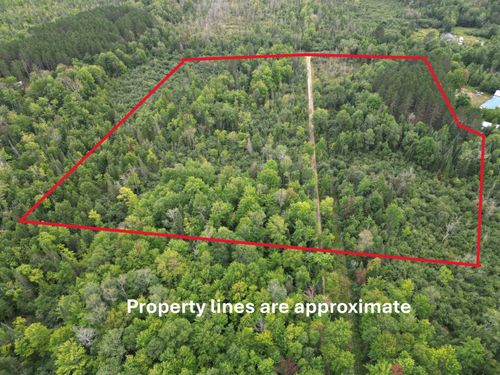 10.11 Acres Golden Road, Se, Orange Township, MI, 49646 | Card Image