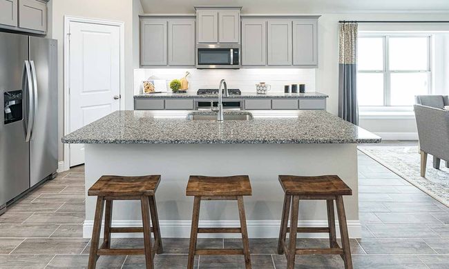 137 Whistling Duck Dr, House other with 4 bedrooms, 2 bathrooms and null parking in Balch Springs TX | Image 8
