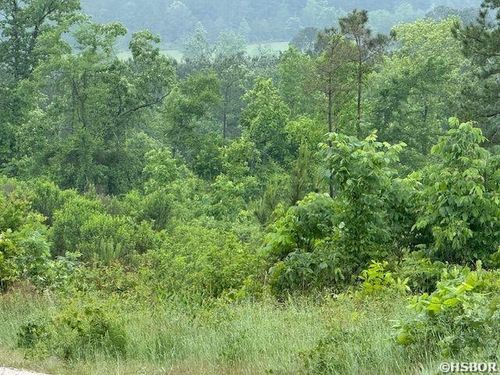 300 Block Angel, Amity, AR, 71921 | Card Image