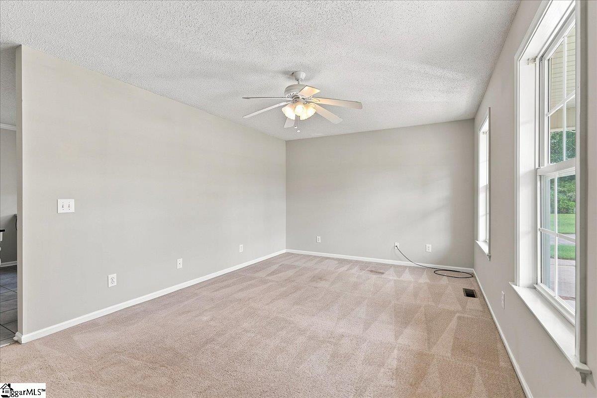Residential in Lyman 5