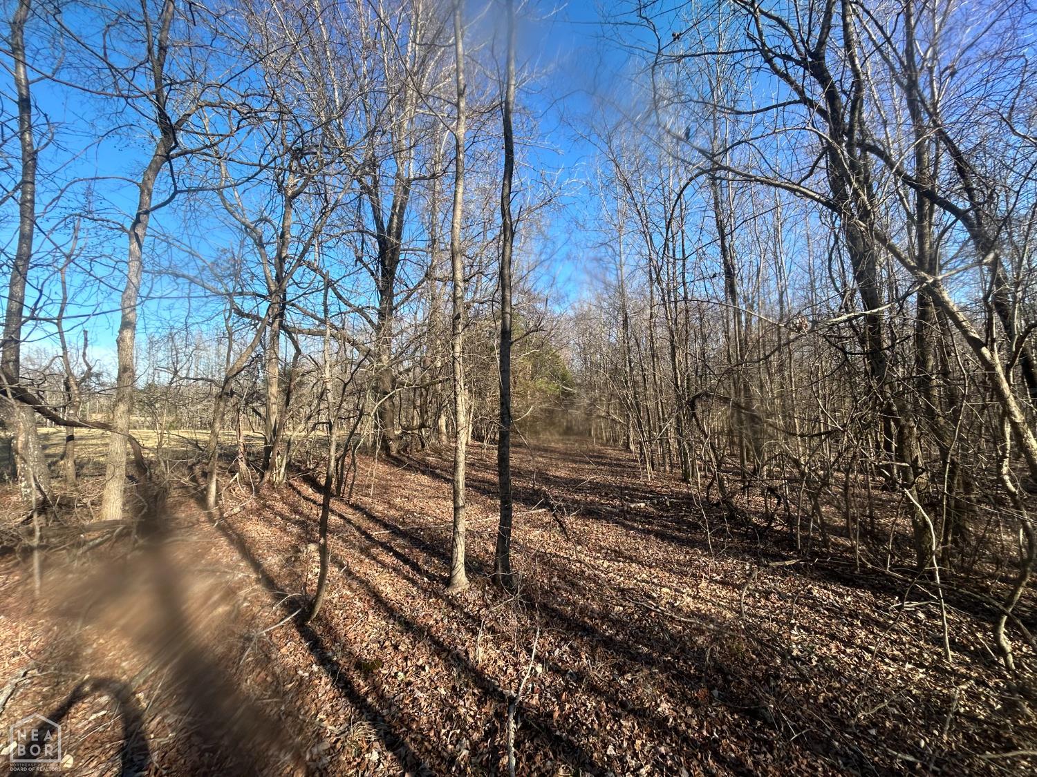 Land in Brookland 3