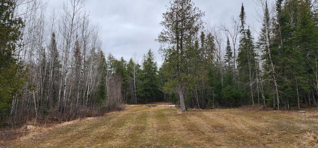 Backyard - 5.6 acres | Image 22