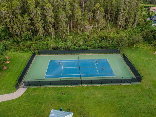 19502 Sea Myrtle Way, House other with 4 bedrooms, 4 bathrooms and null parking in TAMPA FL | Image 51