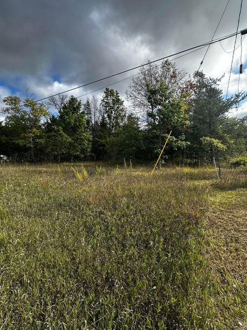 3448 M 37, Baldwin, MI, 49304-7760 | Card Image