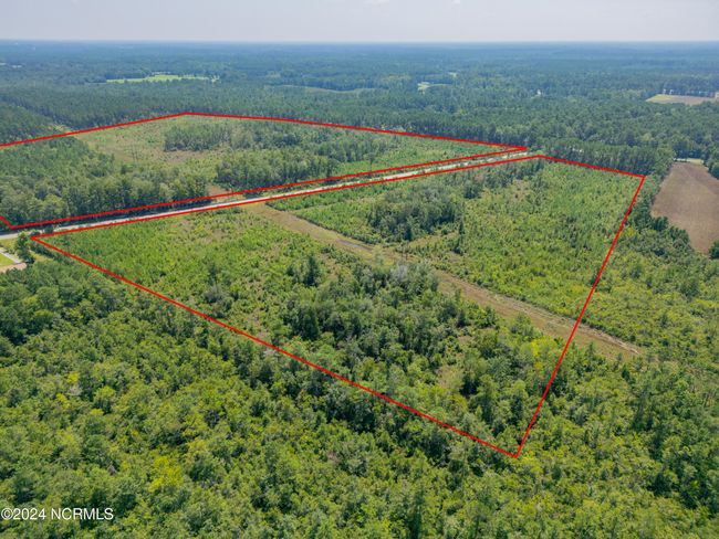 949 General Howe Hwy Road, Home with 0 bedrooms, 0 bathrooms and null parking in Riegelwood NC | Image 9