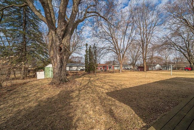 32-Backyard- Mature Trees | Image 32