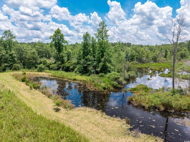 Water view featuring a forest | Image 14