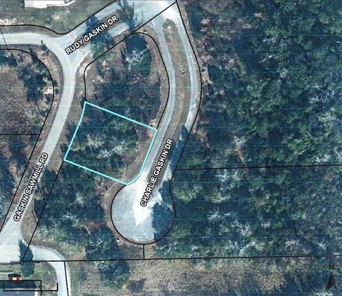 36 Charlie Gaskin Dr, Wewahitchka, FL, 32465 | Card Image