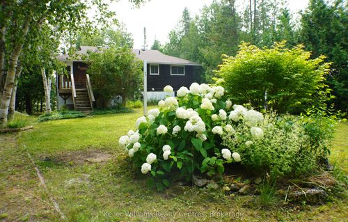 1 Cardinal Cres, Miller Lake, ON, N0H1Z0 | Card Image