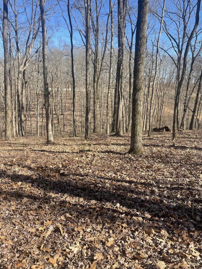 80 High Point Ln, Home with 0 bedrooms, 0 bathrooms and null parking in Jasper TN | Image 108