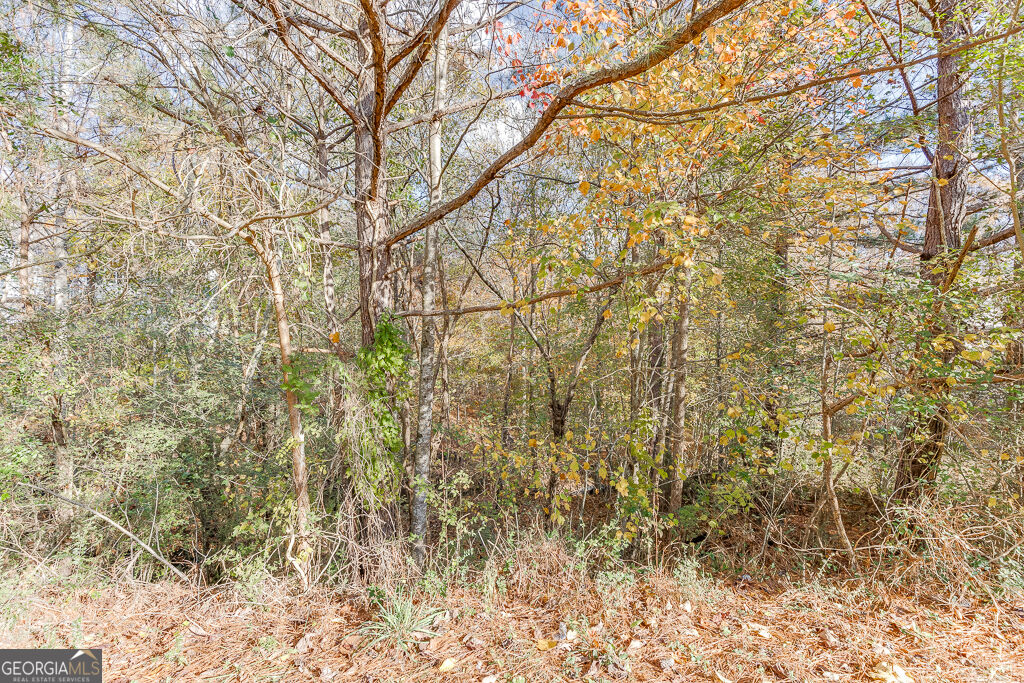 Land in Flowery Branch 4