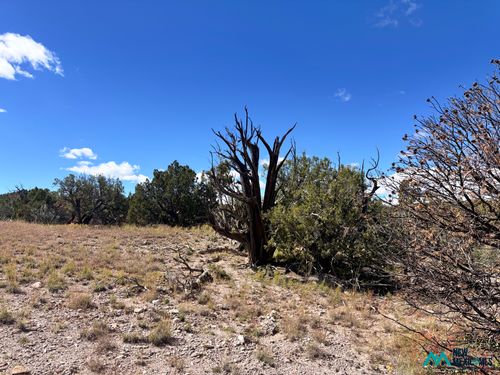 43-0 Lot 43 Abbe Springs, Magdalena, NM, 87825 | Card Image