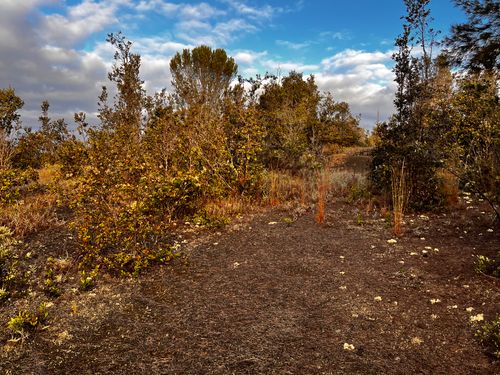 92-2417 Outrigger Dr, OCEAN VIEW, HI, 96737 | Card Image