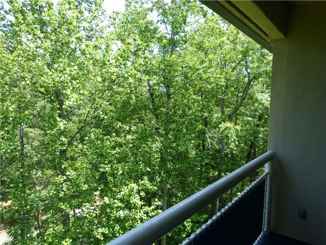 Wooded view | Image 20