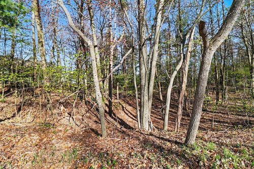 Lot 11 Silver Deer Rd, Mears, MI, 49436 | Card Image
