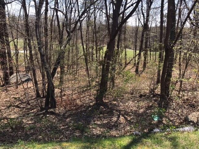0 Old Rockey Trl, Home with 0 bedrooms, 0 bathrooms and null parking in Rising Fawn GA | Image 40