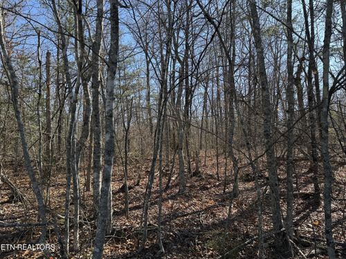 4211 Cumberland Lakes Dr, Monterey, TN, 38574-7182 | Card Image