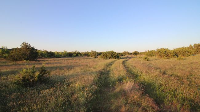 3609 Fm 1086, Home with 0 bedrooms, 0 bathrooms and null parking in Ovalo TX | Image 23