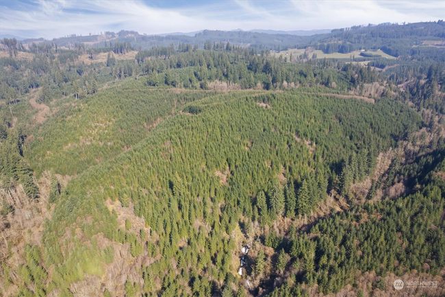 0 Ne Cedar Mist Rd, Home with 0 bedrooms, 0 bathrooms and null parking in AMBOY WA | Image 4