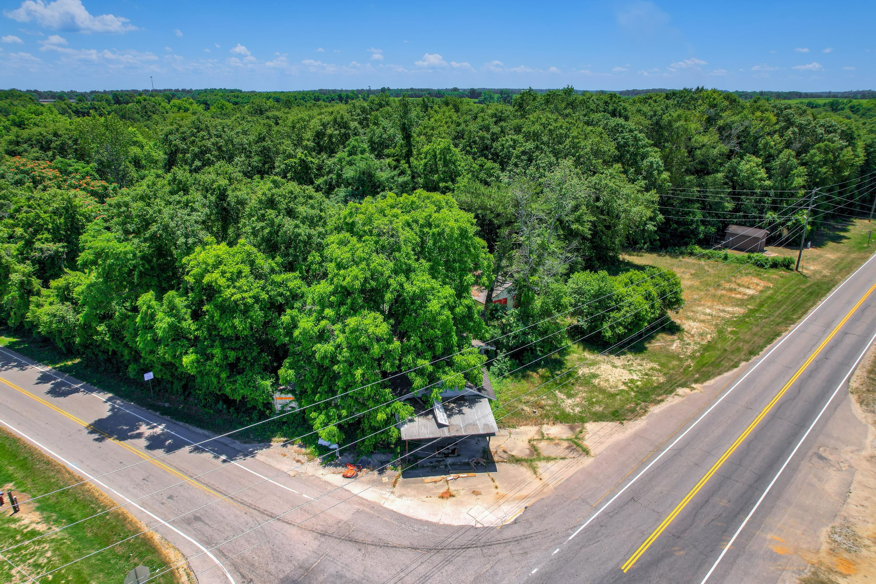 Commercial Sale in Monetta 2