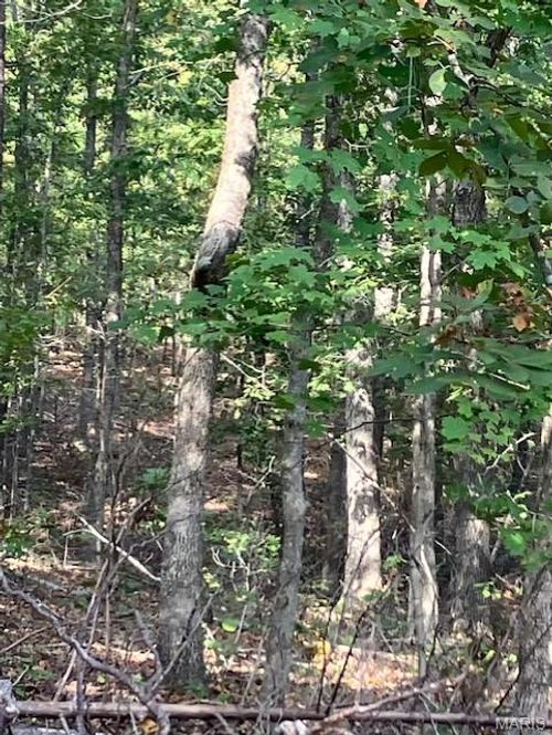 184 Madison St, Fredericktown, MO, 63645 | Card Image