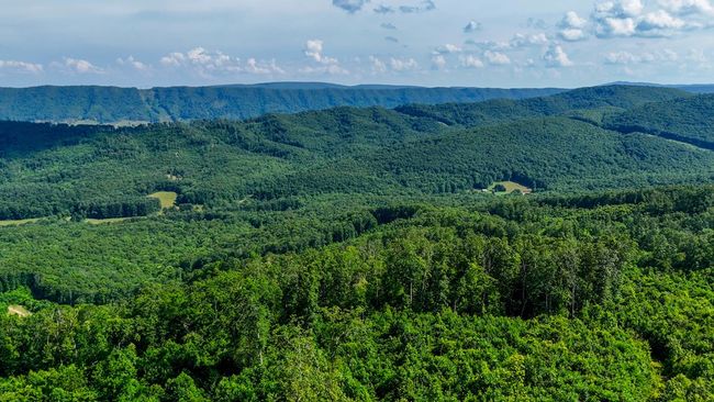 2486 Laurel Fork Rd, Home with 0 bedrooms, 0 bathrooms and null parking in Rocky Gap VA | Image 55