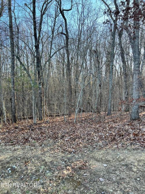 144 Folkstone Rd, Crossville, TN, 38558-7649 | Card Image