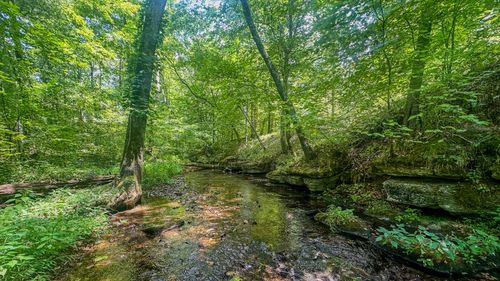 5776 Highway 100 W, Pleasantville, TN, 37033-2728 | Card Image