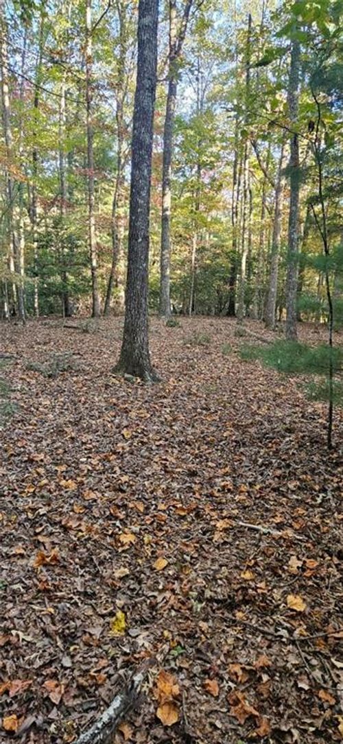 5 Goldmine Rd, Morganton, GA, 30560 | Card Image