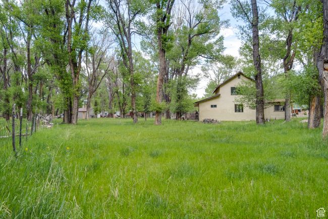 View of yard | Image 28