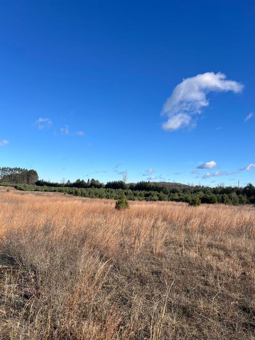 Vacant Land Johnson Road, Custer Township, MI, 49615 | Card Image