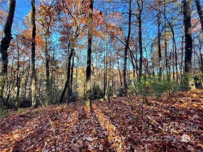 4 - 9999 Sassafras Ln, Home with 0 bedrooms, 0 bathrooms and null parking in Cedar Mountain NC | Image 10