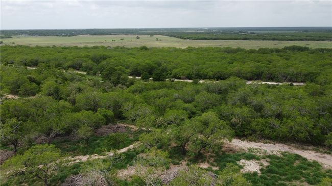 5525 Ravine Rd, Home with 0 bedrooms, 0 bathrooms and null parking in Robstown TX | Image 13