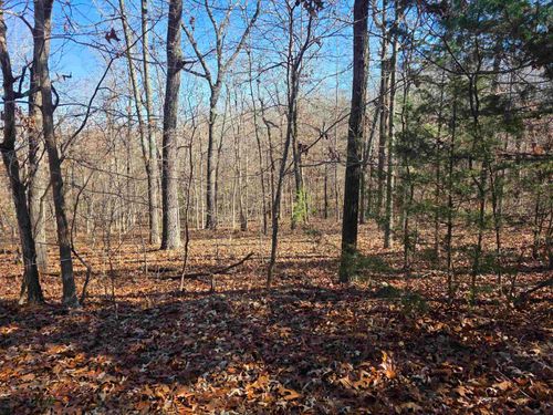 L11, B5 Wasatch Trail, Cherokee Village, AR, 72529 | Card Image