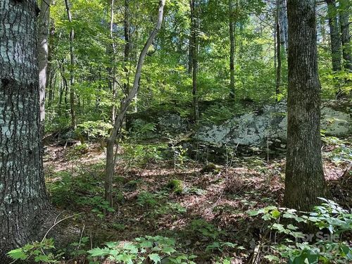 38-0 Trillium Heights Ter, Hayesville, NC, 28904 | Card Image