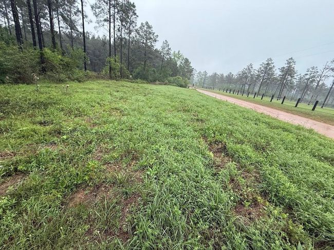 0 Richardson Rd E, Home with 0 bedrooms, 0 bathrooms and null parking in Livingston TX | Image 33
