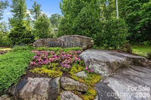 Land in Hendersonville 3