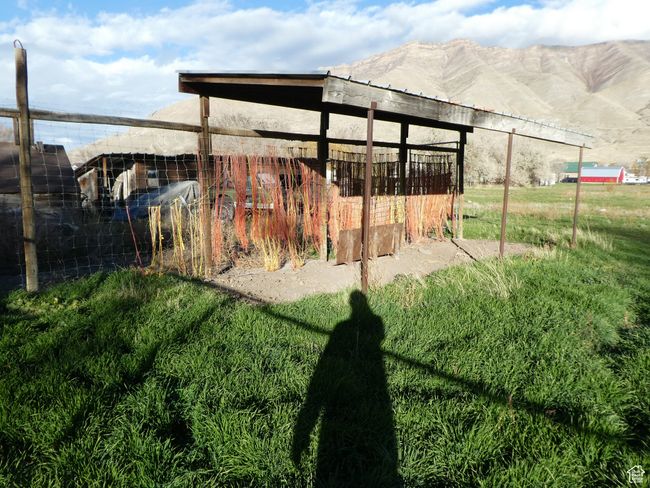 Shelter | Image 7