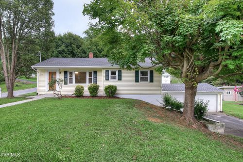 1119 Ledford St, Elizabethton, TN, 37643-3423 | Card Image