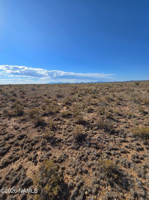 244 E Linden Road, Williams, AZ, 86046 | Card Image