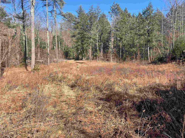 63 New Boston Rd, Home with 0 bedrooms, 0 bathrooms and null parking in Francestown NH | Image 23