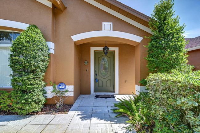 8858 Cypress Hammock Drive, House other with 3 bedrooms, 2 bathrooms and null parking in Tampa FL | Image 7