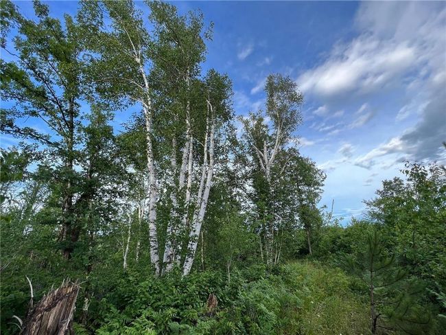 W39XX Frog Creek Rd, Home with 0 bedrooms, 0 bathrooms and null parking in MINONG WI | Image 16